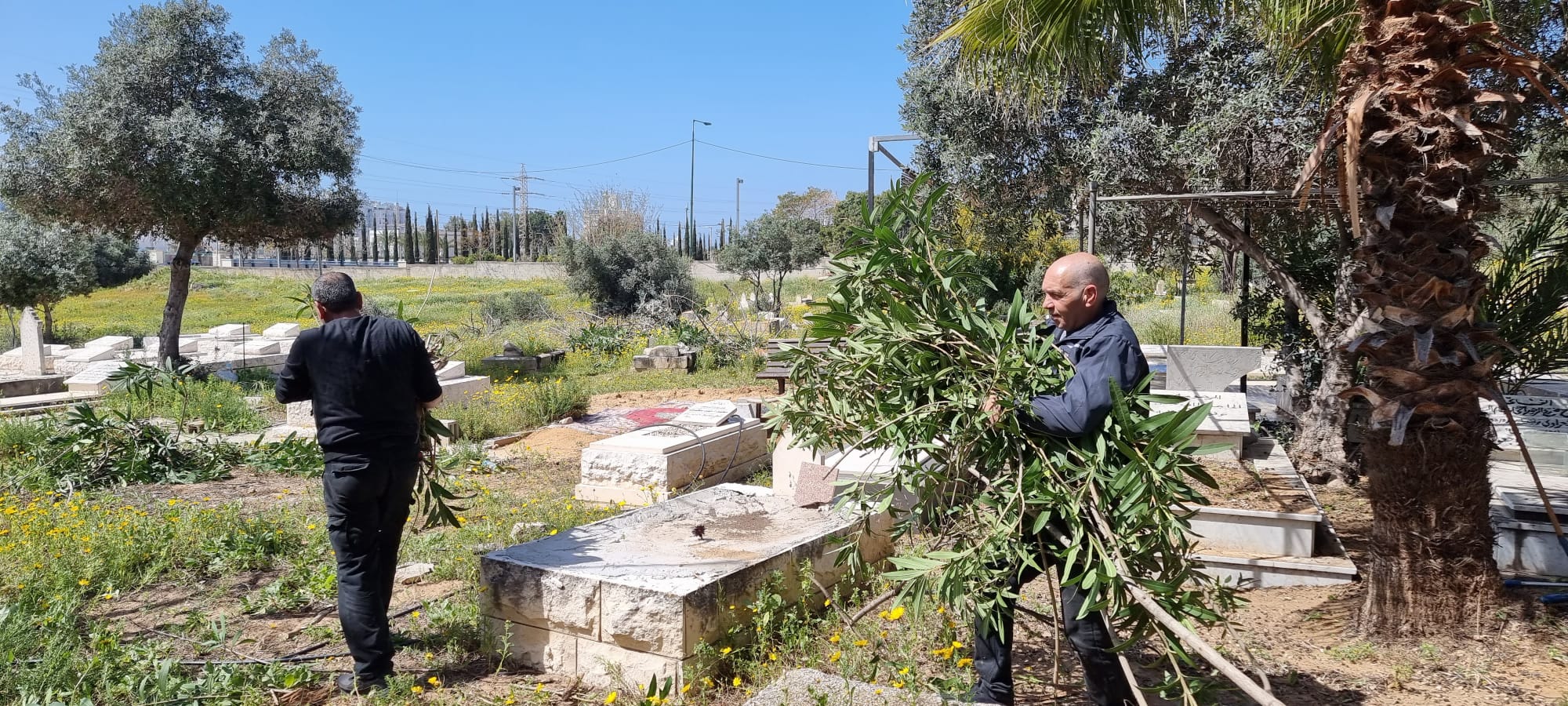 WhatsApp Image 2023-03-18 at 11.16.14 AM (1).jpeg